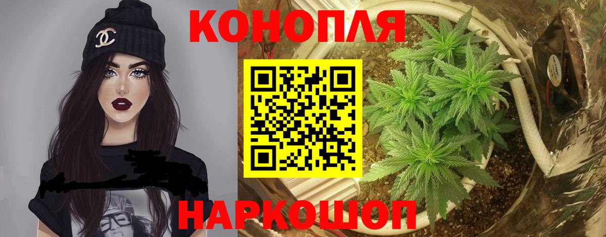 Шишки марихуана LSD WEED Лесной